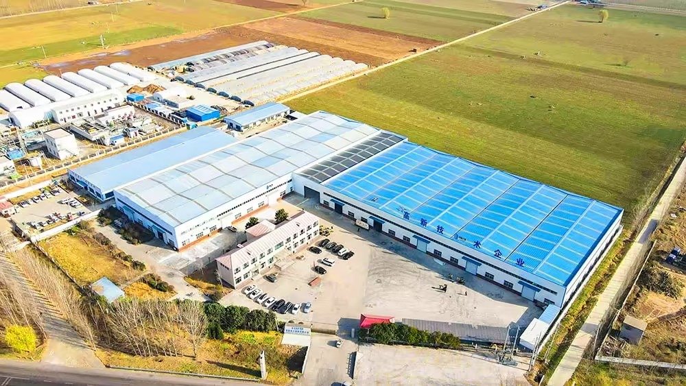 service-01 Imgi 21 34